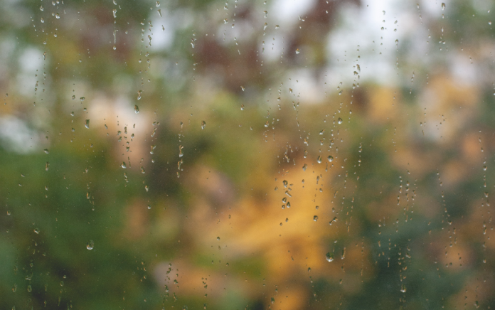 Kišni prozor jesen