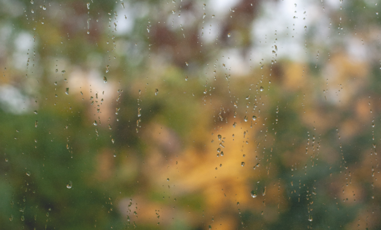 Kišni prozor jesen