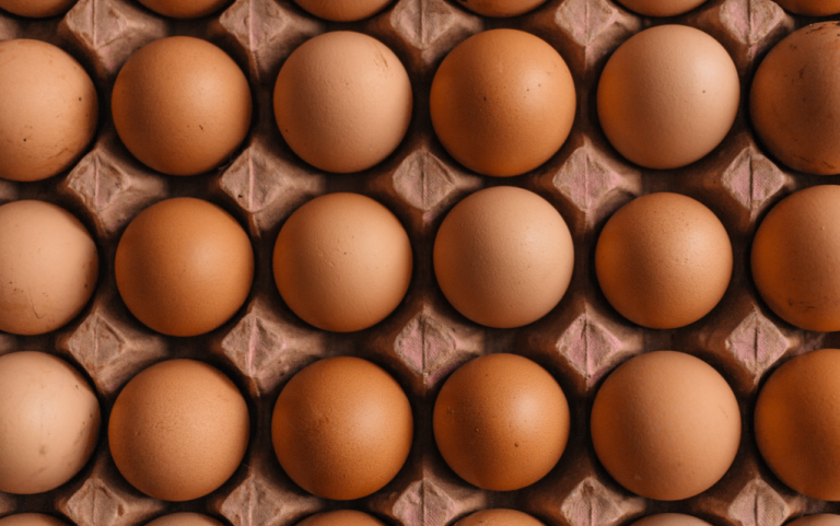 Cena jaja u Srbiji veća nego u Evropskoj uniji