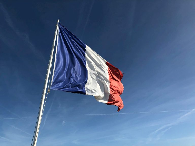 Francuska priznaje pravo na dobrovoljni prekid trudnoće u Ustavu