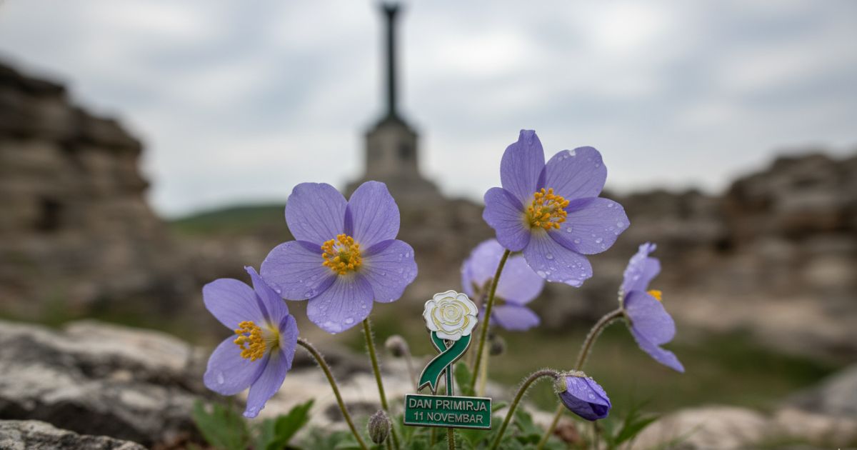Zvuk tišine: Priča o 11. novembru i danu kada je utihnuo Veliki rat 1 dan primirja